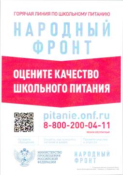 Народный фронт